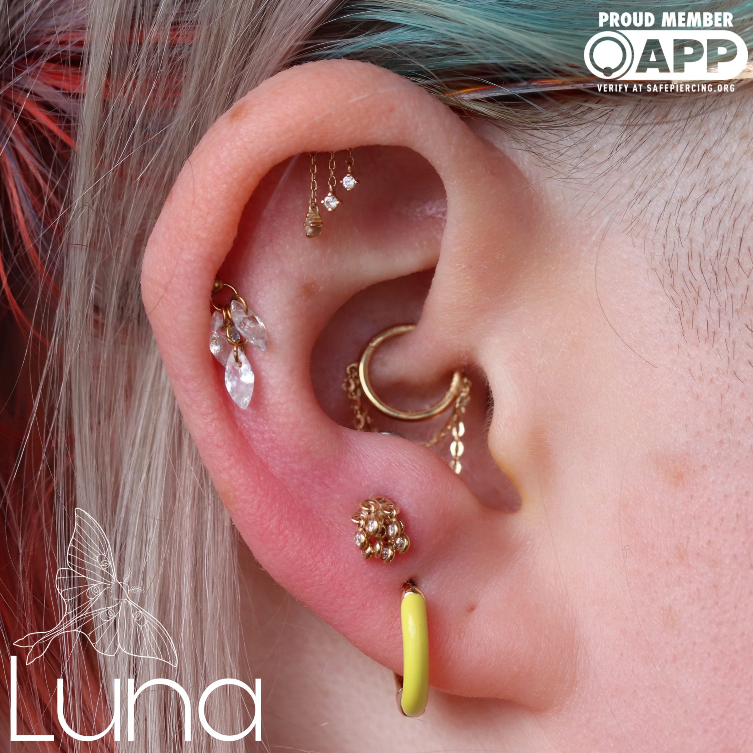 Wilder Now Threadless End / Pupil Hall | Luna Piercing & Fine Jewelry