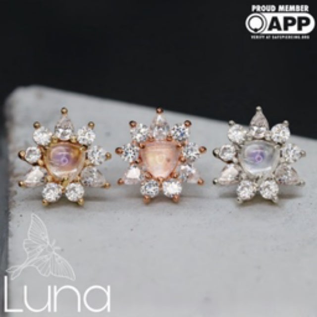アクセサリー enasoluna Cupid pierced New Body Jewelry | 14k & Titanium Jewelry for Piercings