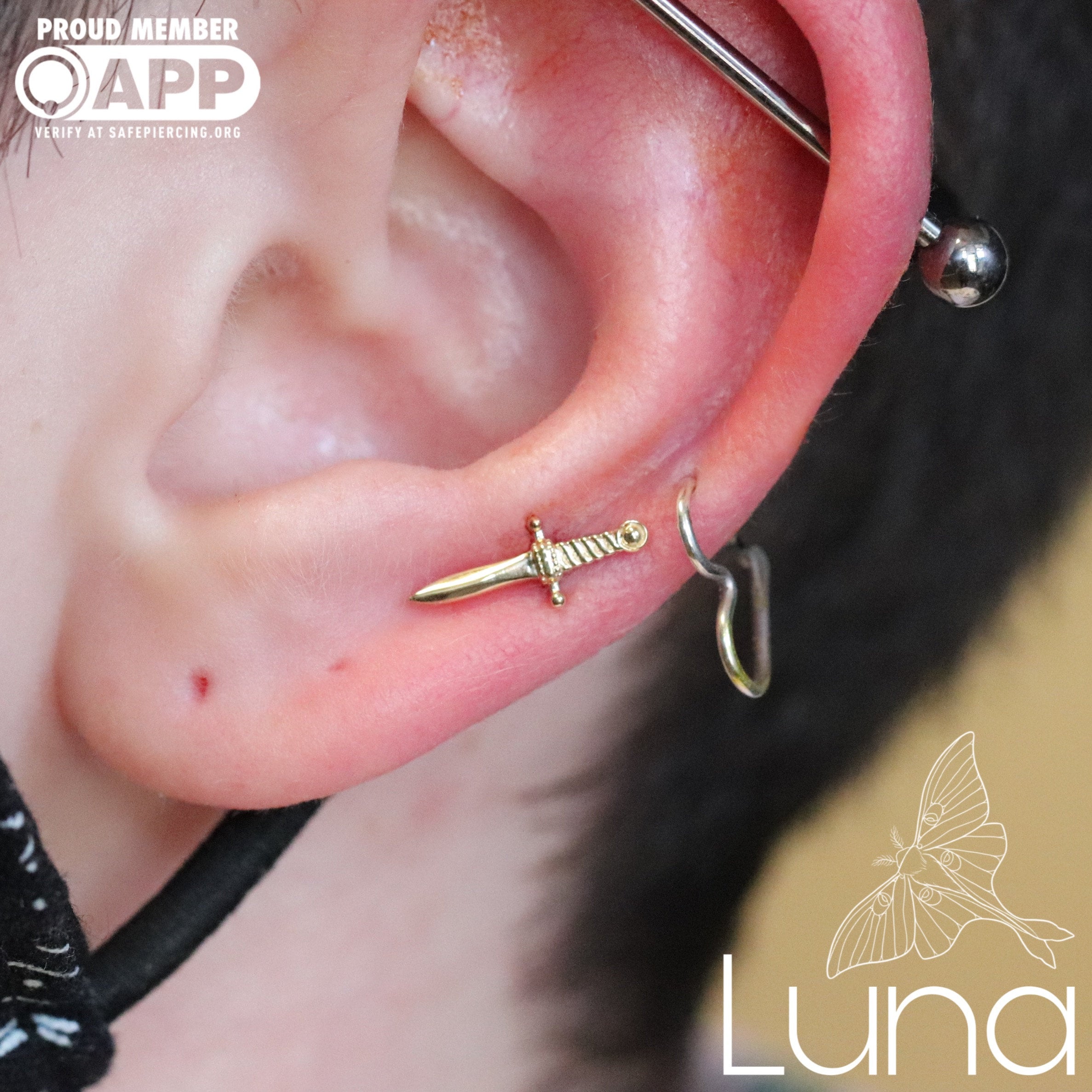 Bvla dagger earring hotsell