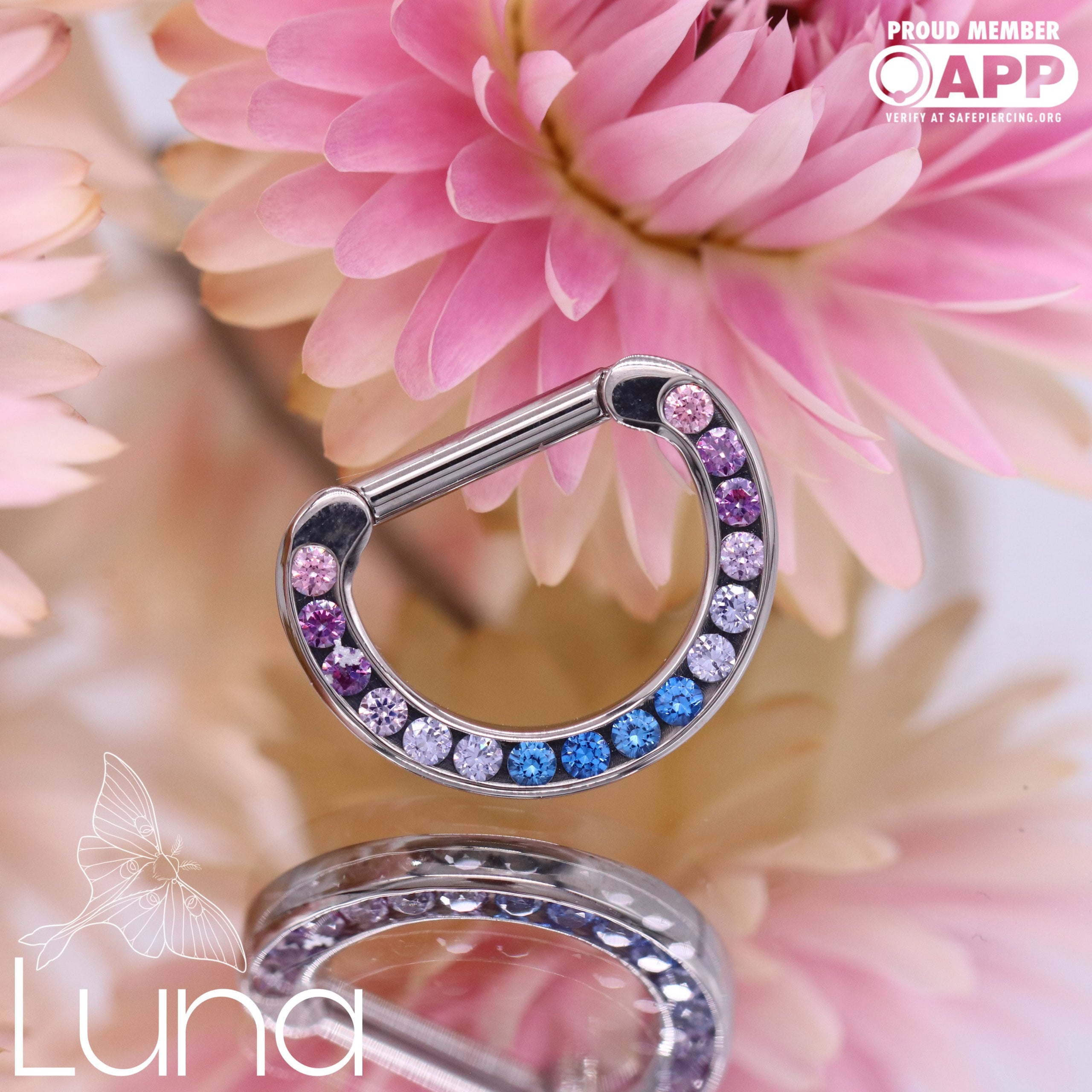 CZ Septum Clicker Implant Grade Titanium Anatometal