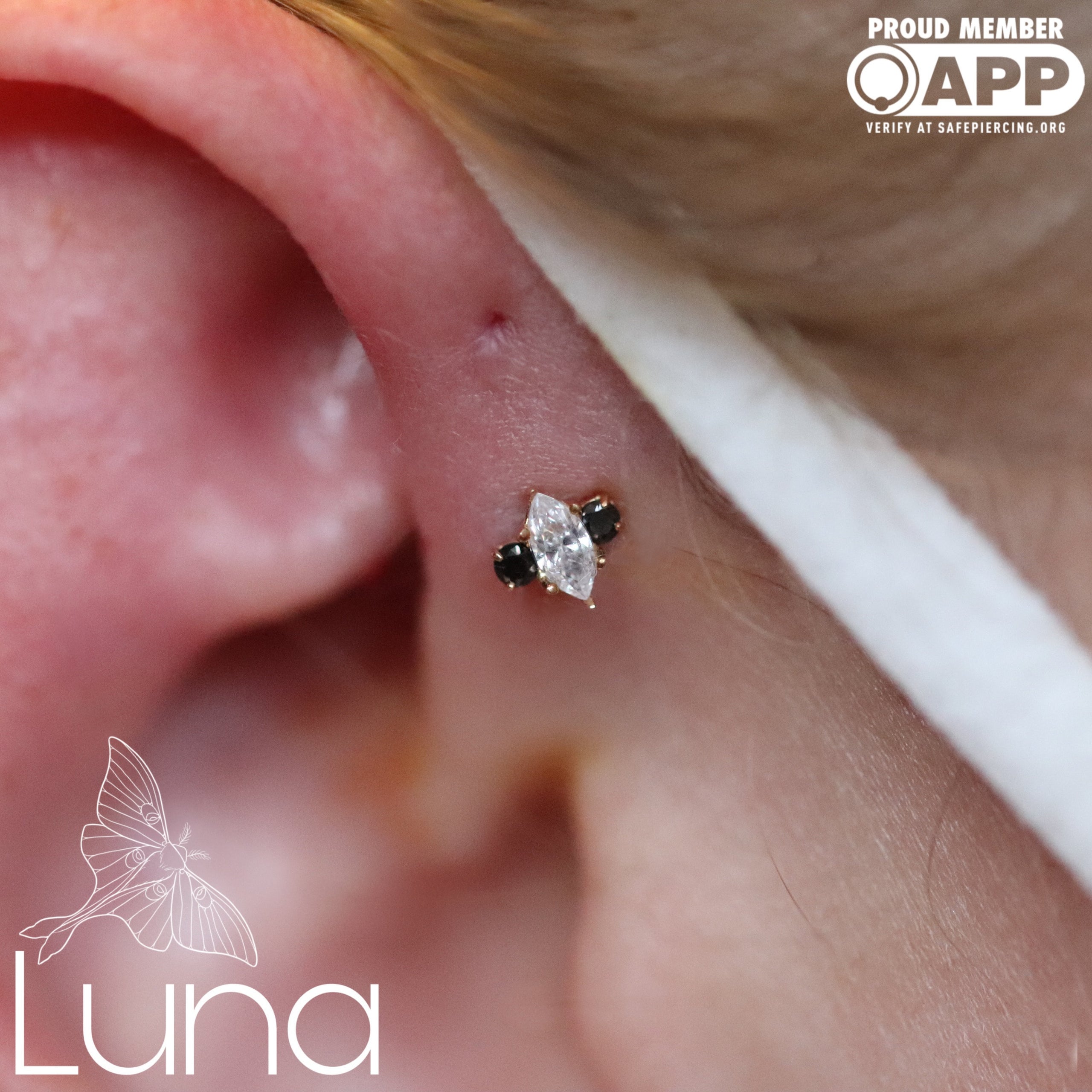 Anatometal piercing sale
