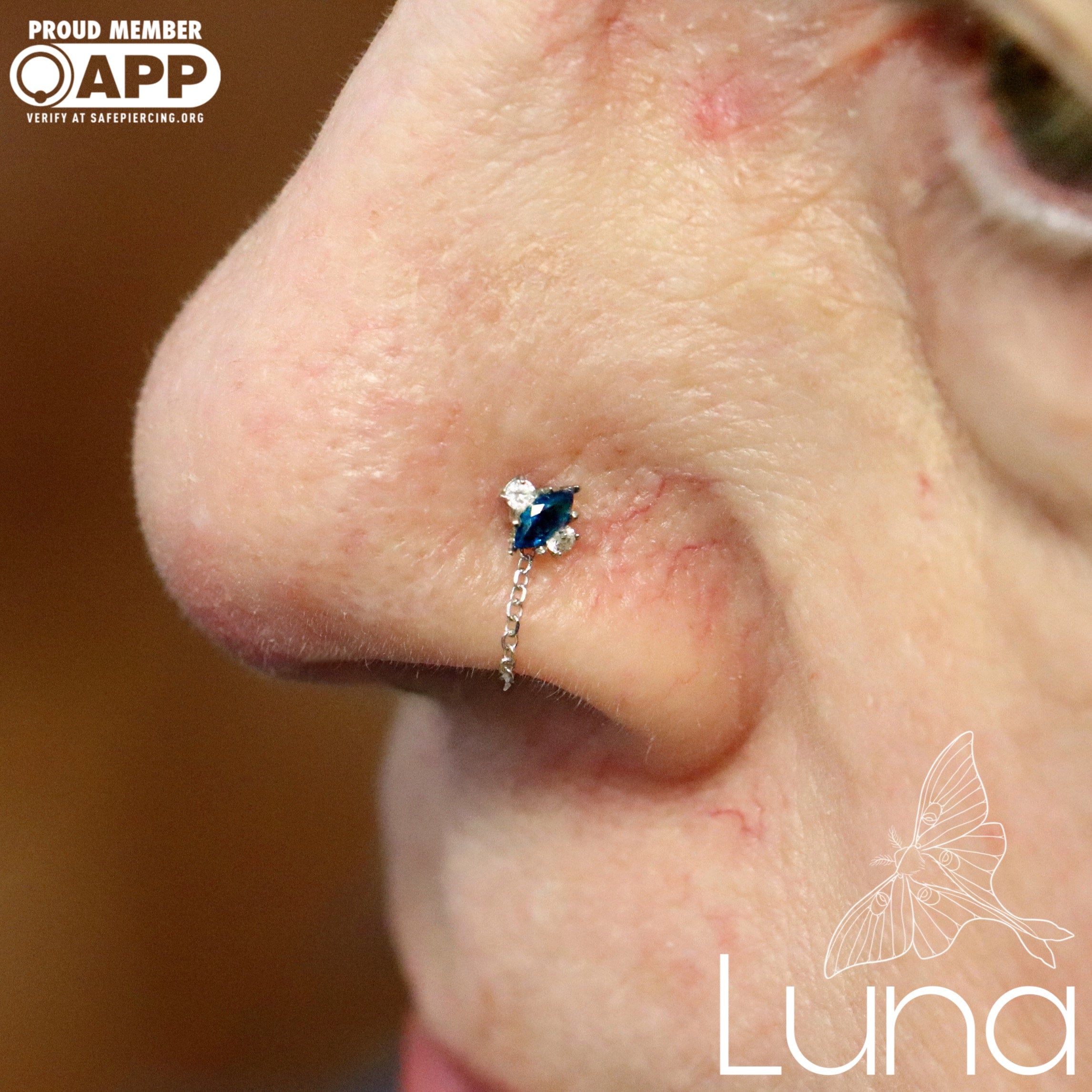 Anatometal nose ring sale