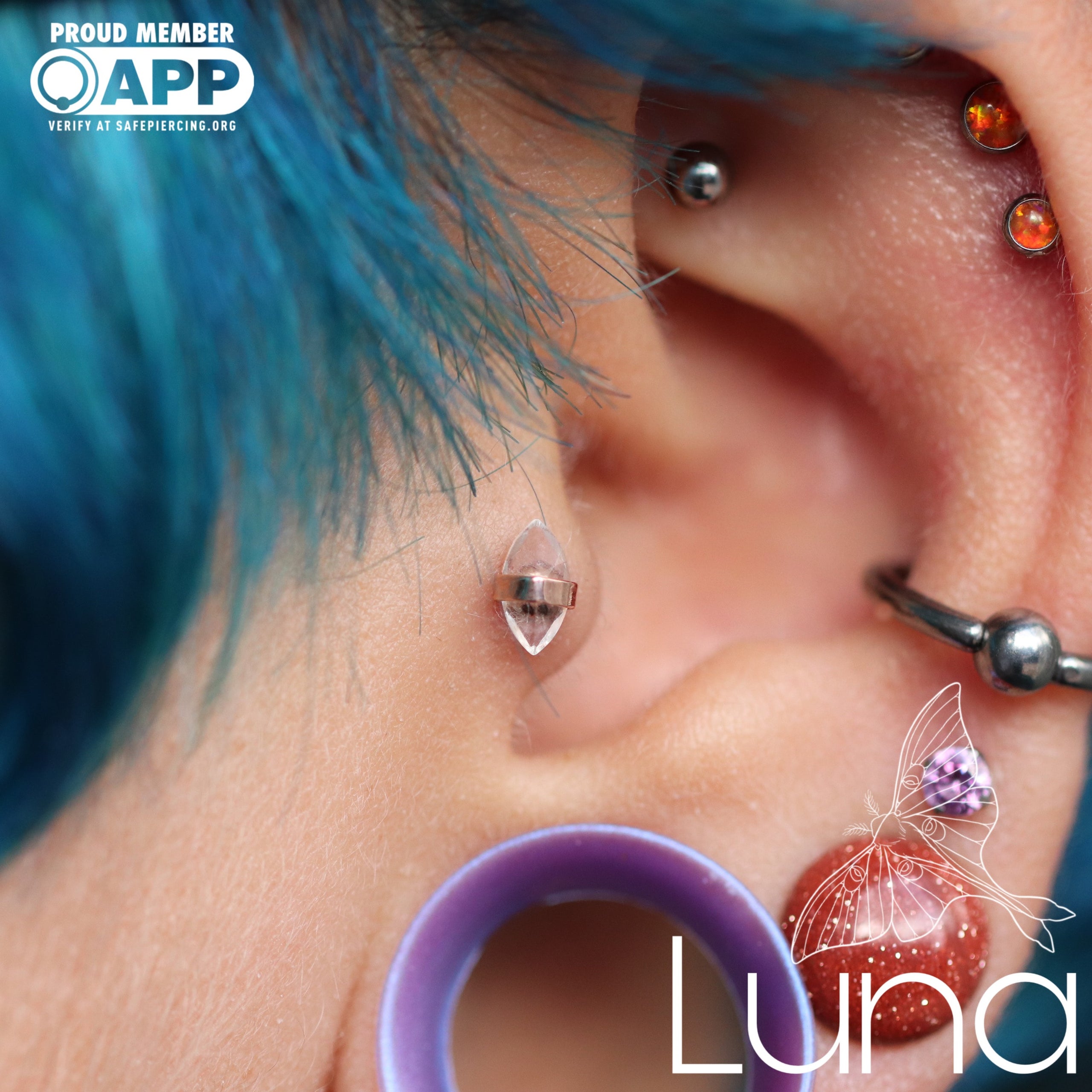 Crystalized With Diamond End Threadless / Pupil Hall Luna Piercing