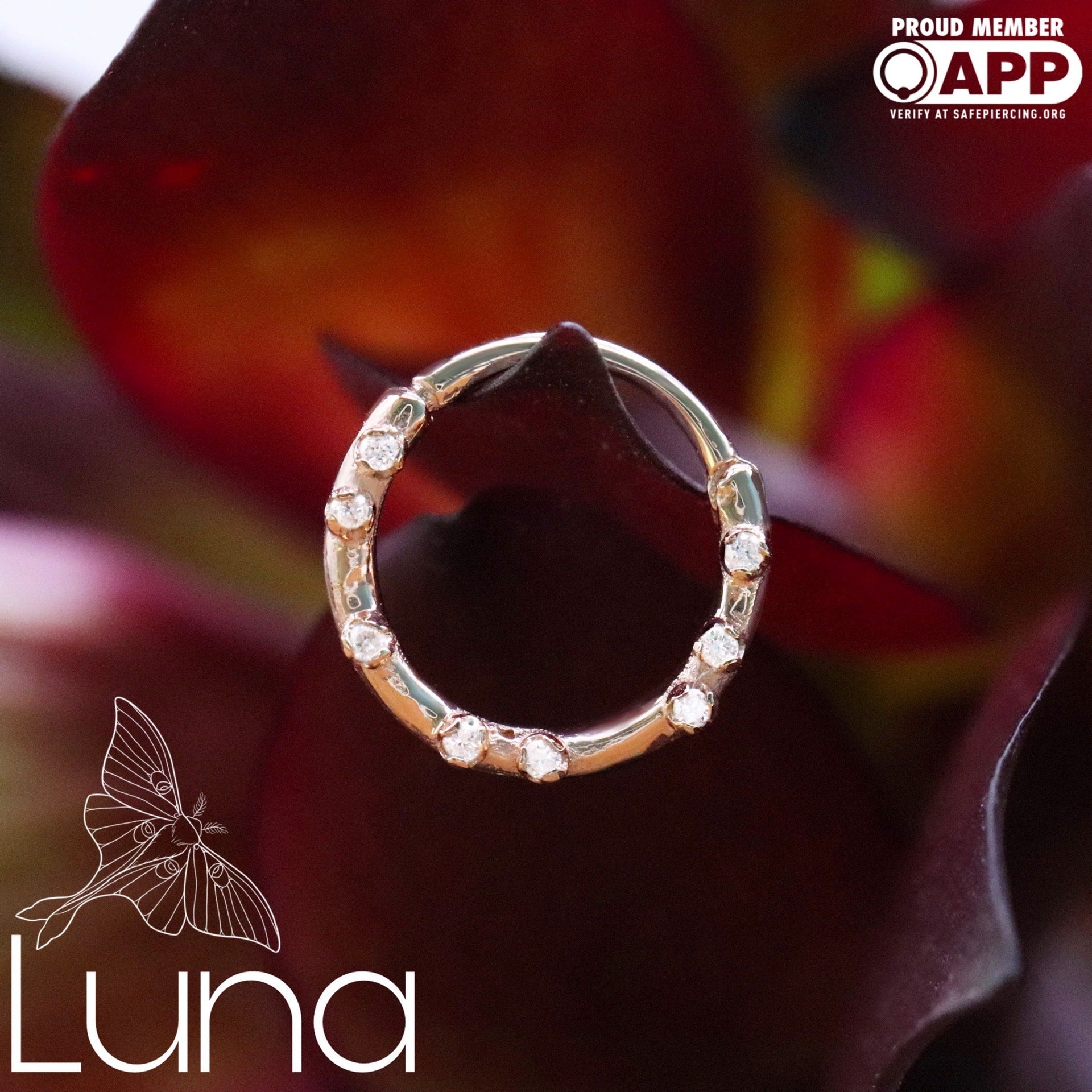 Everythingness Clicker Forward Facing / Pupil Hall Luna Piercing and